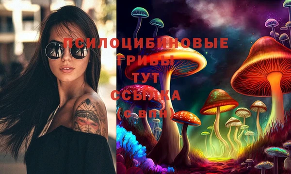 мяу мяу мука Алексеевка