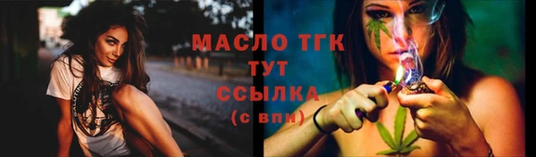 дмт Сатка