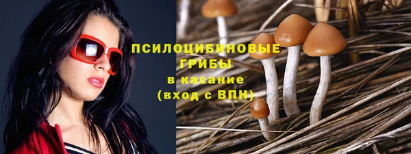соль курить ск Сафоново