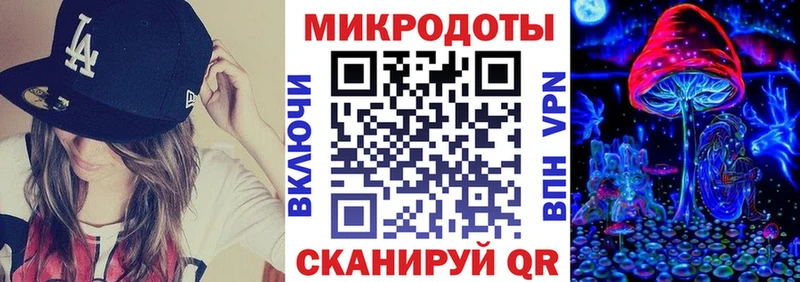 где найти   Боровичи  Псилоцибиновые грибы Psilocybe 