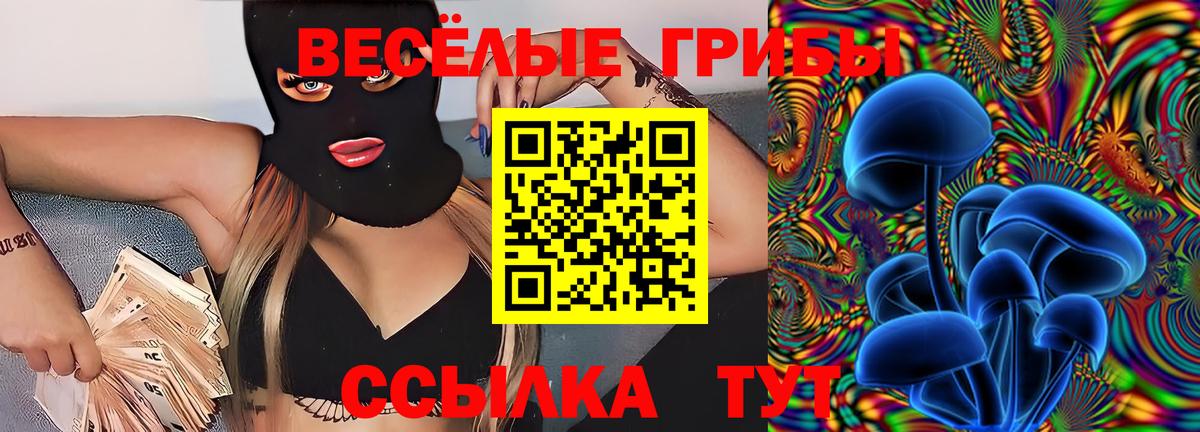 Псилоцибиновые грибы GOLDEN TEACHER  Вход с VPN  цена   Галлюциногенные грибы мицелий  Боровичи 